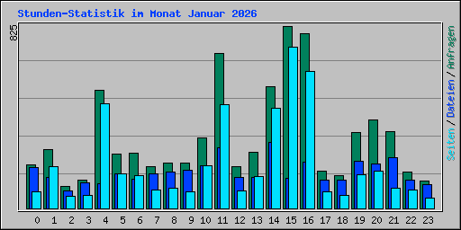 Stunden-Statistik im Monat Januar 2026